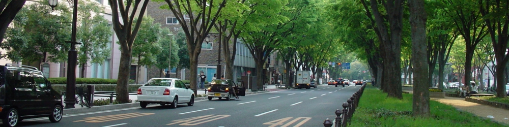 dsc00251.jpg